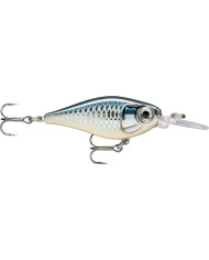 Rapala X Light Shad Baby Aspius 1/8oz 5ft