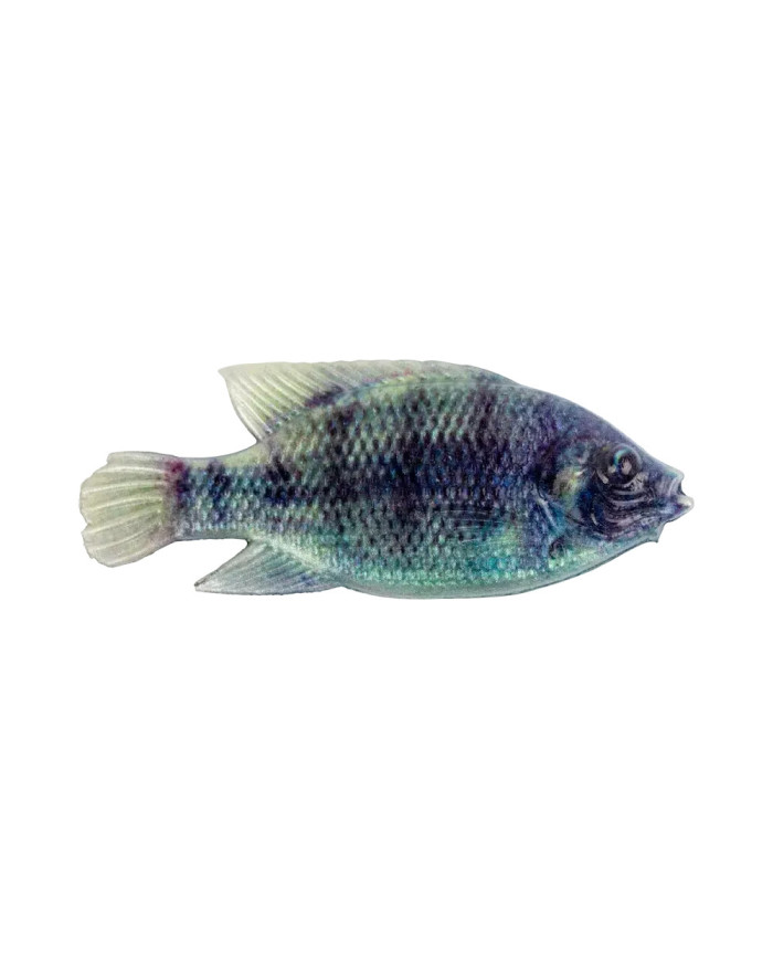 Cull-em Pro Series Natural Kurper - Olive Bream 4in Cull-em Pro Series Natural Kurper - Olive Bream 4in