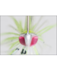 Keitech Baby Tee Bone Tandem Willow 1/4oz Spinnerbait Keitech Baby Tee Bone Tandem Willow 1/4oz Spinnerbait
