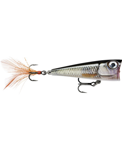 Rapala X Light Pop Live Roach 1/8oz Rapala X Light Pop Live Roach 1/8oz