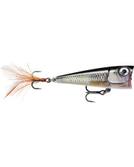Rapala X Light Pop Live Roach 1/8oz