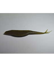 Itty's Starter Pack F100 Green Pumpkin 4.5in 5pk