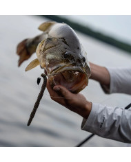 Rapala Crush City Pigstick 5in