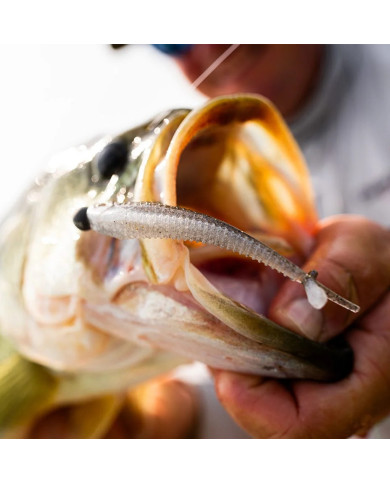 Rapala Crush City Mooch Minnow 3.5in Rapala Crush City Mooch Minnow 3.5in