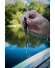 Core Tackle Hover Rig