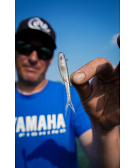 Core Tackle Hover Rig