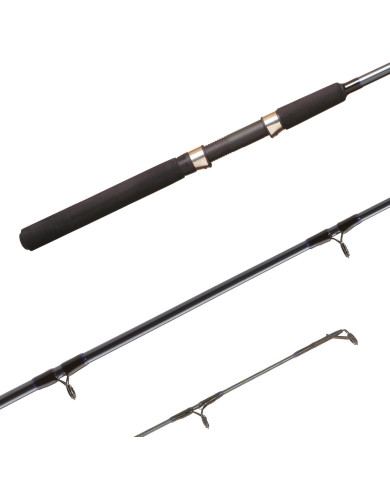 Shimano FX 6ft 6in 2 Piece Medium Heavy Fast Spinning Rod Shimano FX 6ft 6in 2 Piece Medium Heavy Fast Spinning Rod
