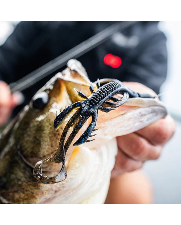 Rapala Crush City Hedgehog 4.in