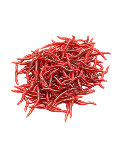 React Earthworm 4cm Clear Natural Red 50pc React Earthworm 4cm Clear Natural Red 50pc