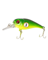 Bass.co.za Starter Kit Four - 7pc