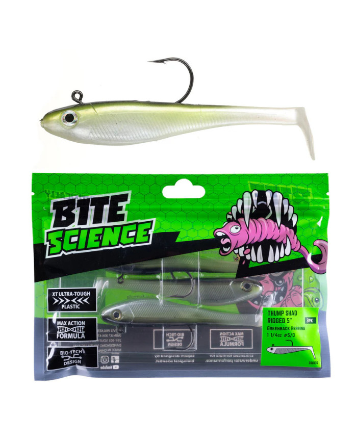 Bite Science Thump Shad Rigged Greenback Herring 5in
