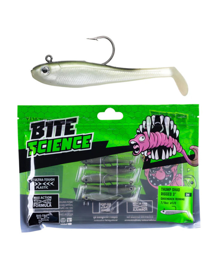Bite Science Thump Shad Rigged Green Back Herring 3in Bite Science Thump Shad Rigged Green Back Herring 3in
