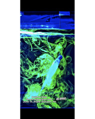 Bait-pop Ghost Live Sonar Intensifier & Scent - Garlic