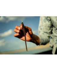 6th Sense Divine Shakey Heads