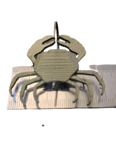 React Carapice Hard Crab Heavy measure