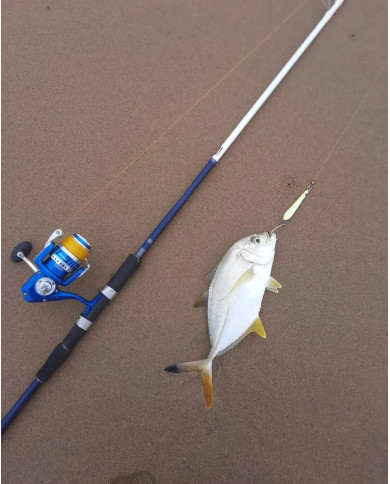 Okuma Matrix 8ft Medium Heavy Saltwater Spinning Rod