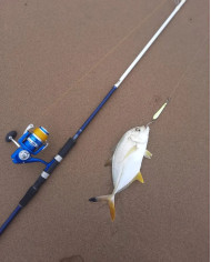 Okuma Matrix 8ft Medium Heavy Saltwater Spinning Rod