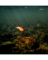 Rapala Dives-To DT12