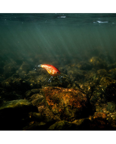 Rapala Dives-To DT12