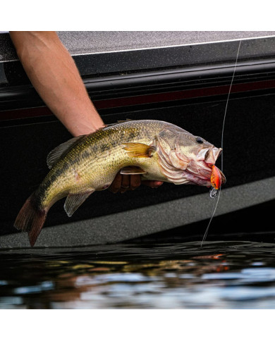 Rapala Dives-To DT12