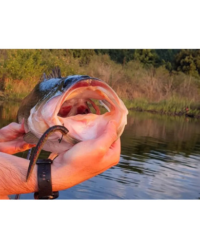 McArthy Baits Stumpi  5in