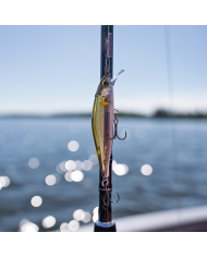 Rapala PXR Air Boss 100 4in 9/16oz 4-5ft