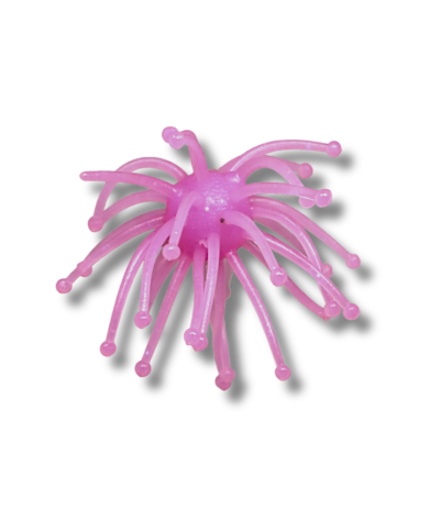 BWG Boogie Bomb Pink Hustle 2.5 in