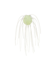 Geecrack Imo Kemushi Finesse Cue Bomb 31 Light Chartreuse Smoke 1.2in 4pc