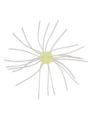 Geecrack Imo Kemushi Finesse Cue Bomb 31 Light Chartreuse Smoke 1.2in 4pc
