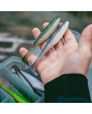 Rapala Crush City The Kickman