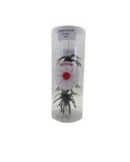 Itty's Secret Baits Oogin Fryball 18mm Ball 3in 3pc