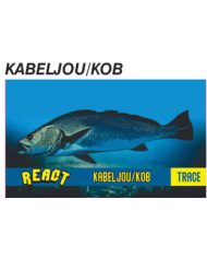React Kob/Kabeljou Trace Complete Single Hook 2pc