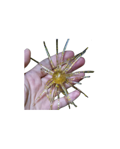 CMF Bass Bug Ball Large Golden Star 3/4in Ball 4 1/2in 1pc