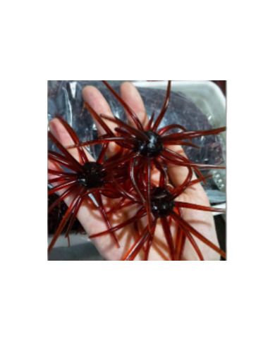 CMF Bass Bug Ball Large Motor Oil/Scuppernong 20mm Ball 4 1/2in 1pc