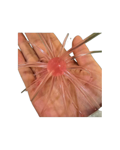CMF Bass Bug Ball Large UV Pink Shimmer Black 20mm Ball 4 1/2in 1pc