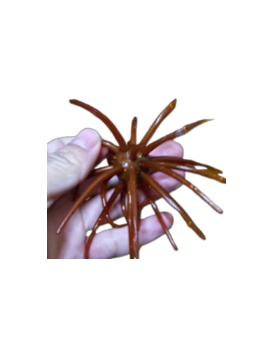 CMF Bass Bug Ball Extra Large Crawdad Candy 25mm Ball 5 1/2in 1pc