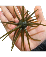 CMF Bass Bug Ball Extra Large Dark Green Pumpkin Black 25mm Ball 5 1/2in 1pc