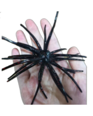 CMF Bass Bug Ball Extra Large Black Fire 25mm Ball 5 1/2in 1pc
