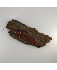 CMF Bass Larva Motor Oil Red 2 1/2in 10pc