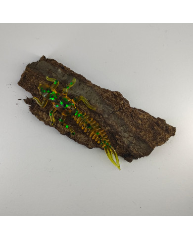 CMF Bass Larva Watermelon Green 2 1/2in 10pc