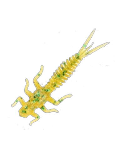 CMF Bass Larva Watermelon Green 2 1/2in 10pc