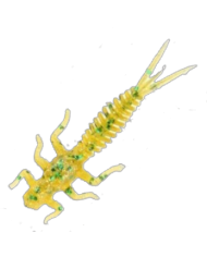 CMF Bass Larva Watermelon Green 2 1/2in 10pc
