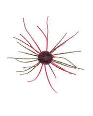 Geecrack Imo Kemushi Finesse Cue Bomb 31 Natural Craw 1.2in 4pc