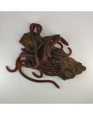 CMF Bass Earthworm Natural Brown 10cm 15pc