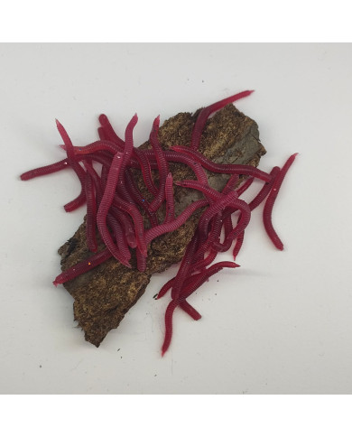 CMF Bass Earthworm Dark Red 3.5cm 30pc
