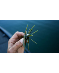 Core Tackle Dice Rig