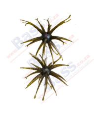 Itty's Secret Baits Oogin Tilapia Magic 22mm Ball 4.5in 2pc