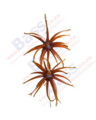 Itty's Secret Baits Oogin Scuppernog 22mm Ball 4.5in 2pc