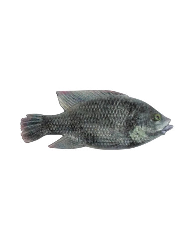 Cullem Pro Series Natural Kurper - Blue Kurper - Male 4in