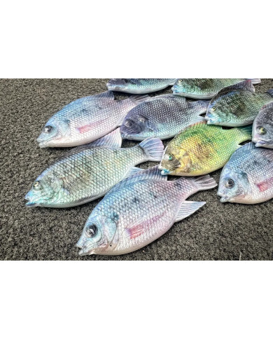 Cull-em Pro Series Natural Kurper
